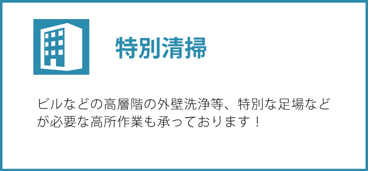 特別清掃